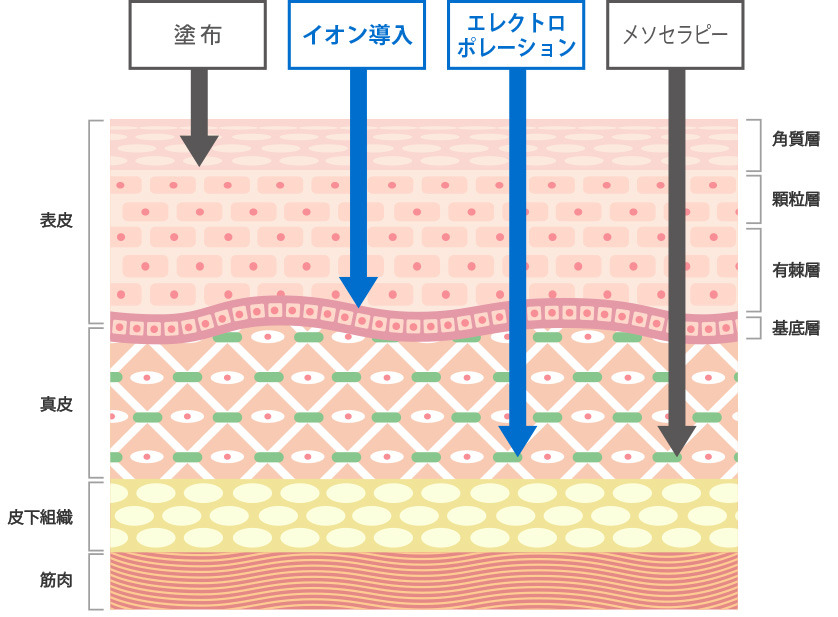 有効成分促進美顔器】お顔も頭皮も身体もこれ１つで上質エステケア【ONCE EMS Care Pro】 | 髪質改善縮毛矯正特化サロン 【富士市美容室クーペ】